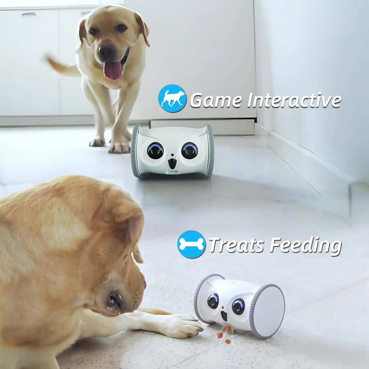 Pet Camera with Treat Dispenser, Interactive Toy with Mobile Control