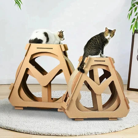 KittyKinetic: The Pawsitive Spin on Playtime!