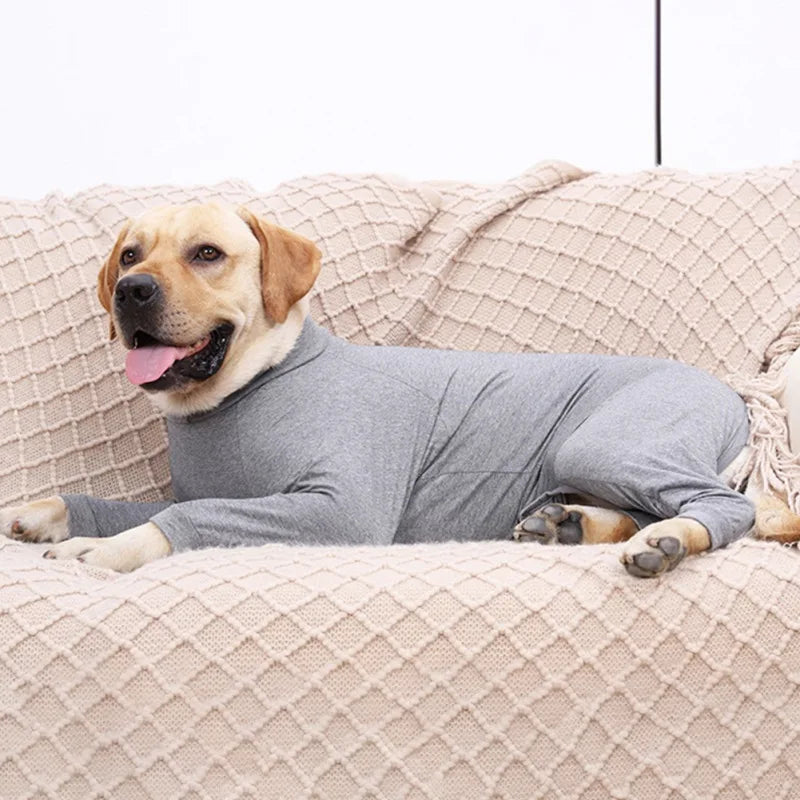 Snug as a Bug: The Ultimate Dog Recovery Suit!