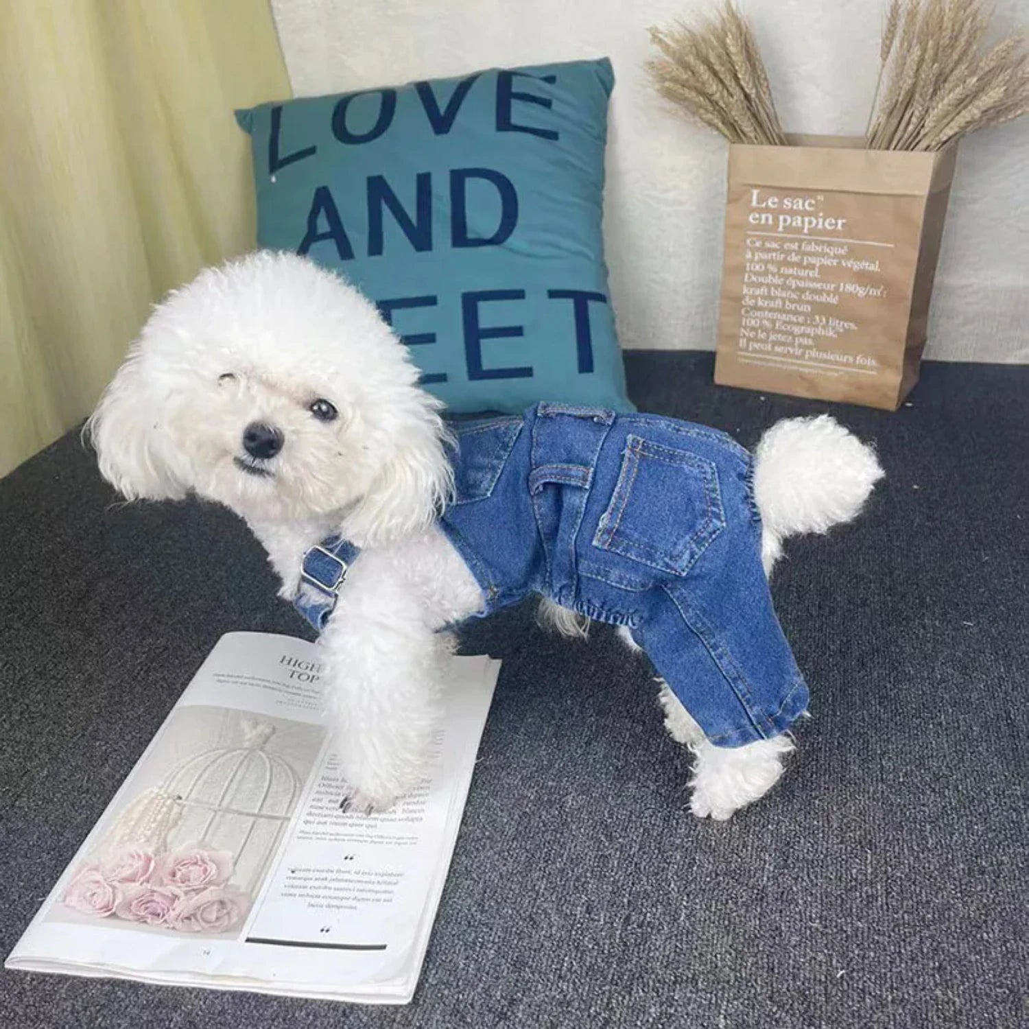 Soft Fashionable Jean Overalls for Dogs