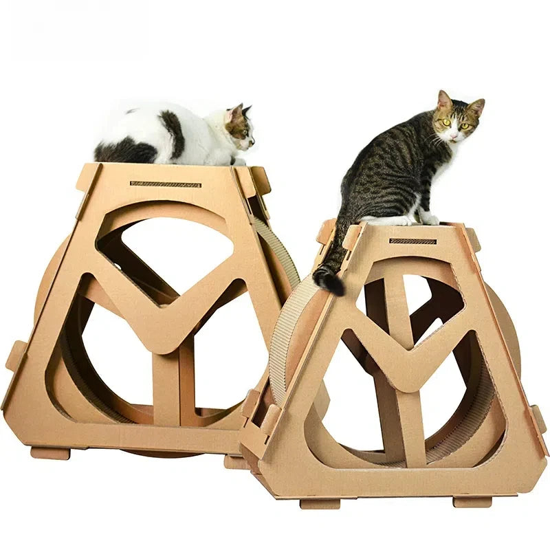 KittyKinetic: The Pawsitive Spin on Playtime!