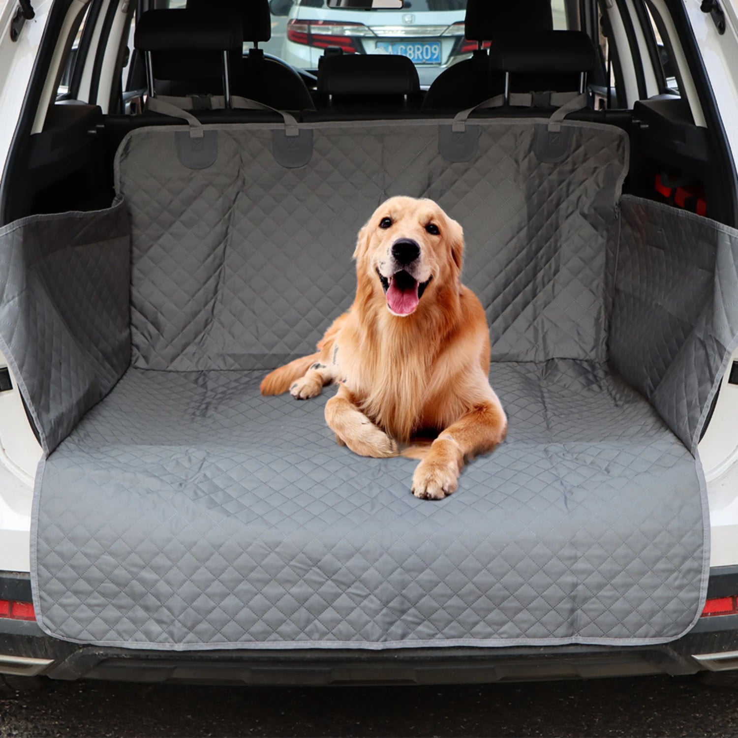 Pawsitively Plush: The Ultimate Adventure Car Mat!