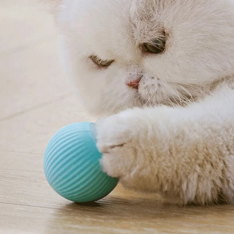 Mobile Game Ball Toy for Cats and Dogs