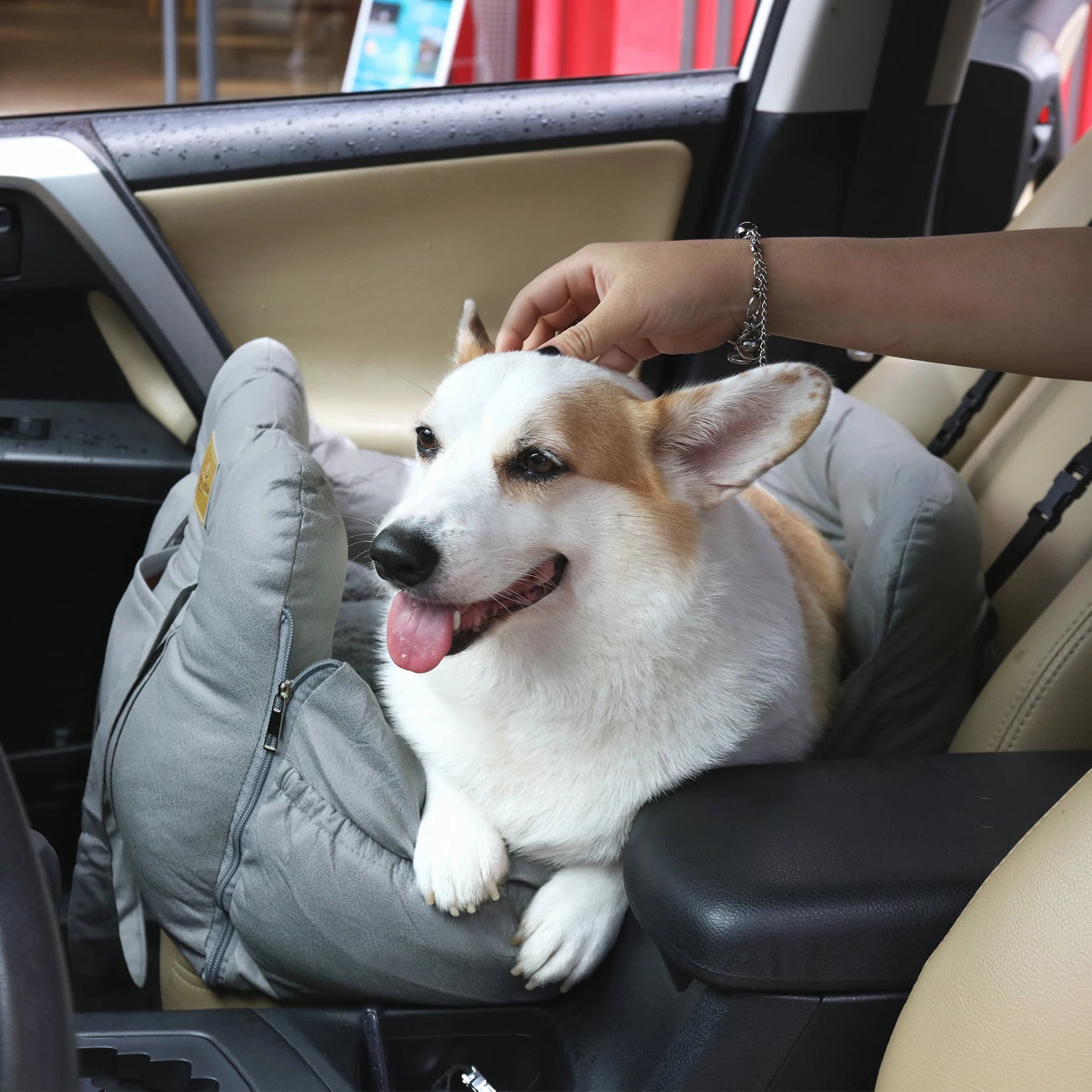 Road Trip Ready: The Ultimate Pet Car Seat!