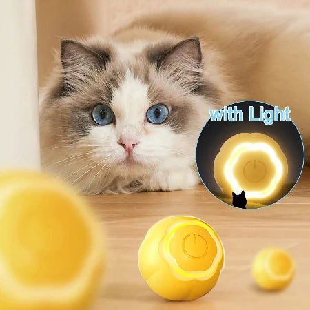 Whiskers' Whirling Wonder: The Smart Rolling Ball Adventure!