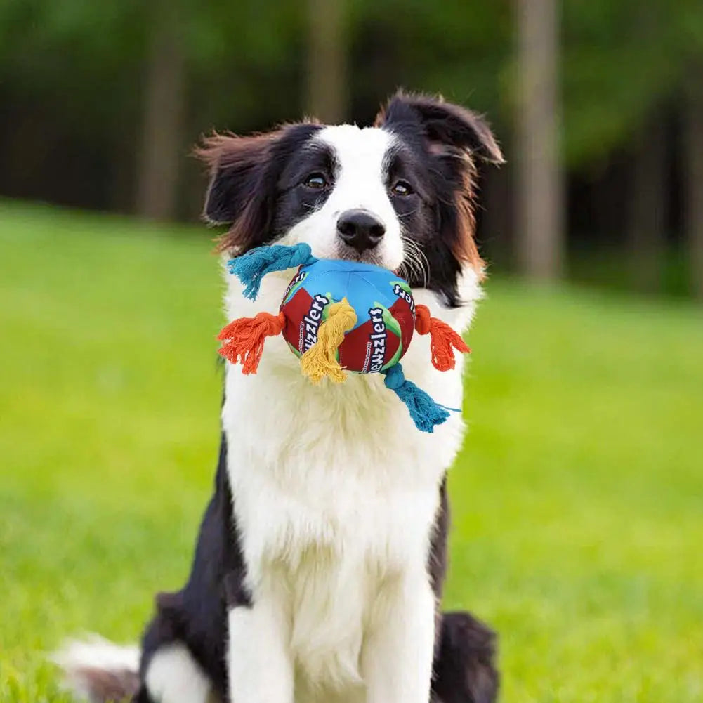 Satisfy Your Doggies Natural Chewing Instincts While Bringing Endless Fun