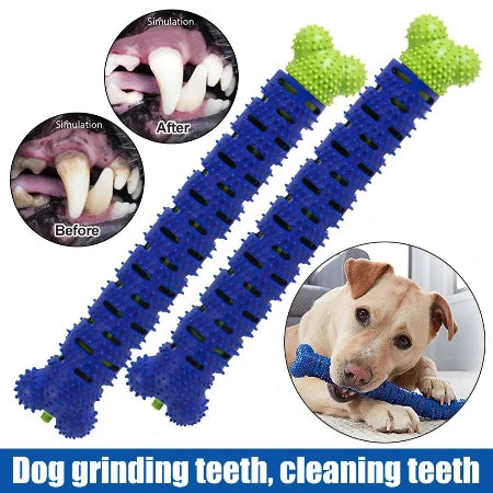 Chew-Clean Canine Companions: The Dental Delight Duo!